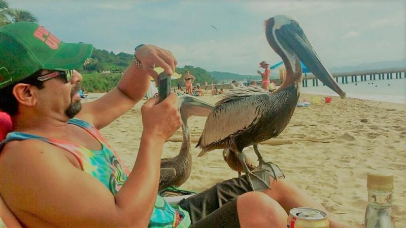 Costa cercana a Aguadilla e Isabela